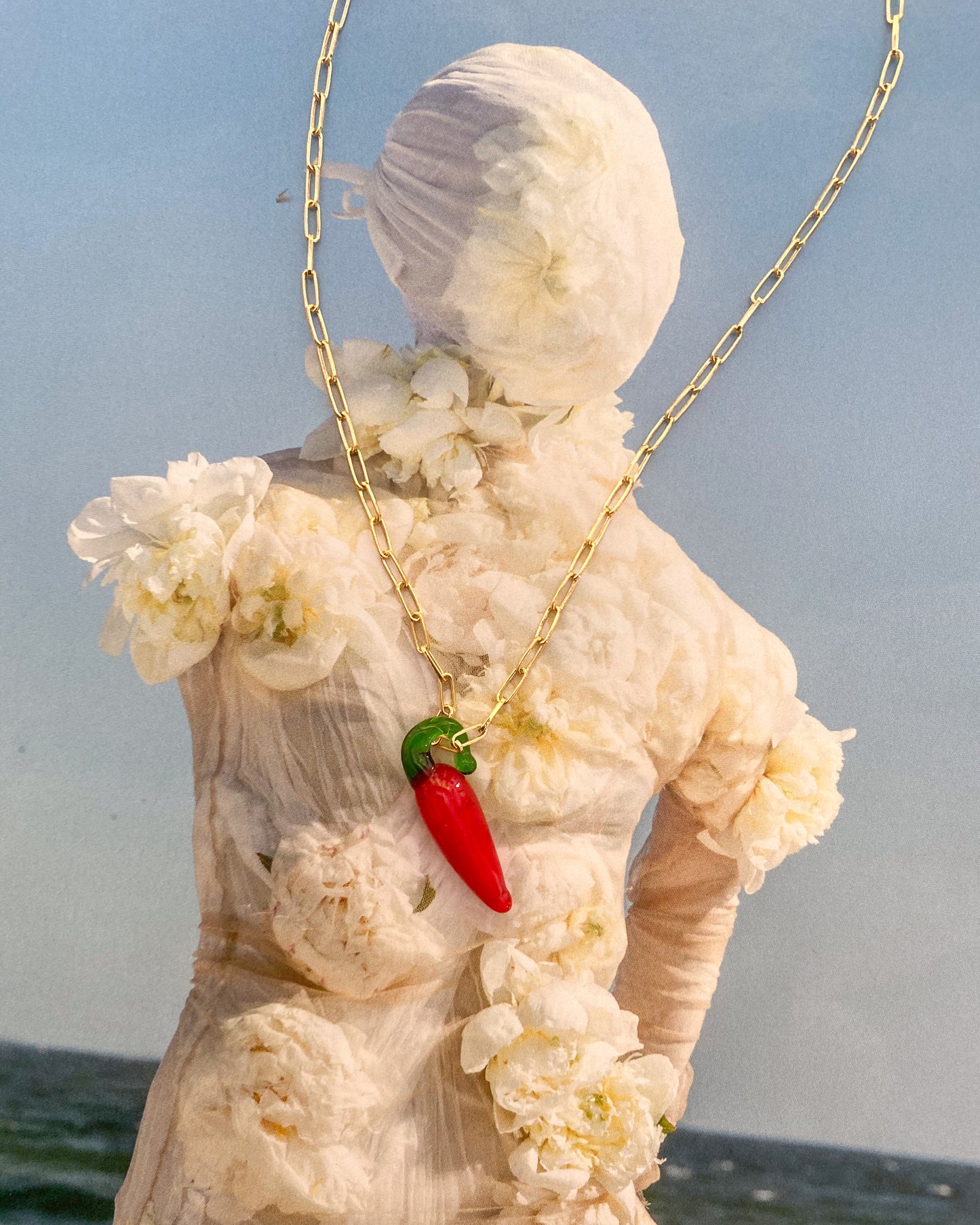 El collar de cadena de chile.